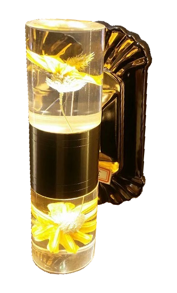 Đèn tường phale led E05-1