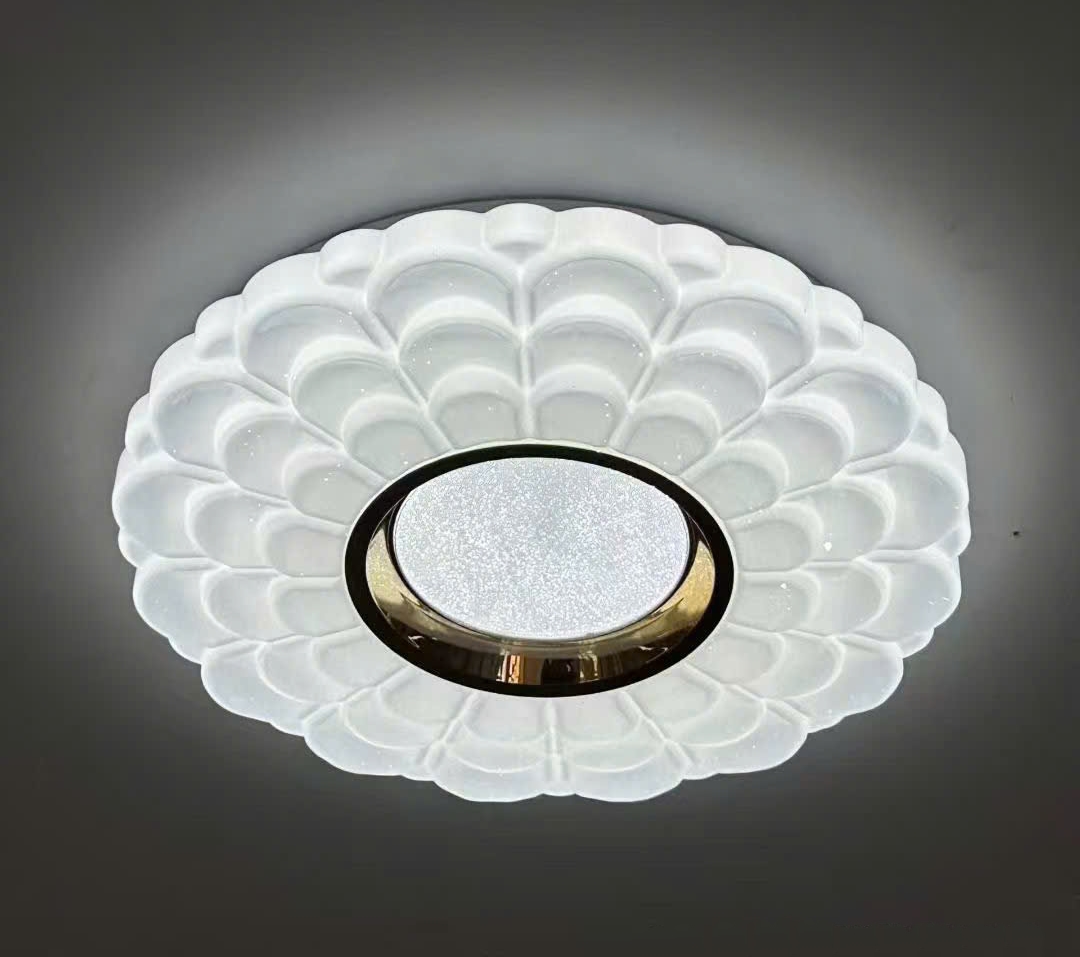 Đèn ốp trần 2389/400