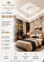 Đèn ốp trần D13-50x50