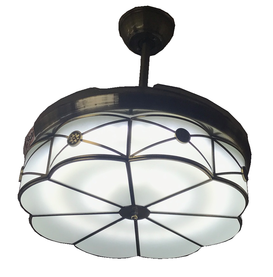 Quạt trần giấu cánh 9938