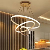 Đèn thả LED DS001 GD
