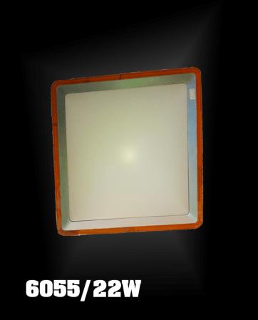 Đèn ốp trần nhựa 6055/22w