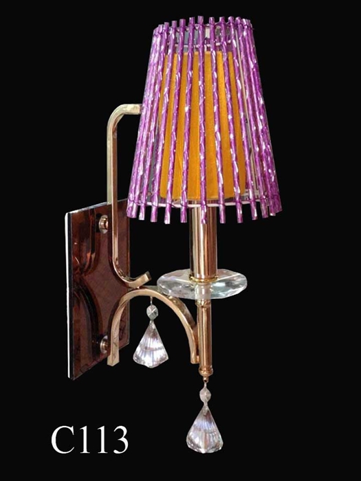 Đơn dù C113