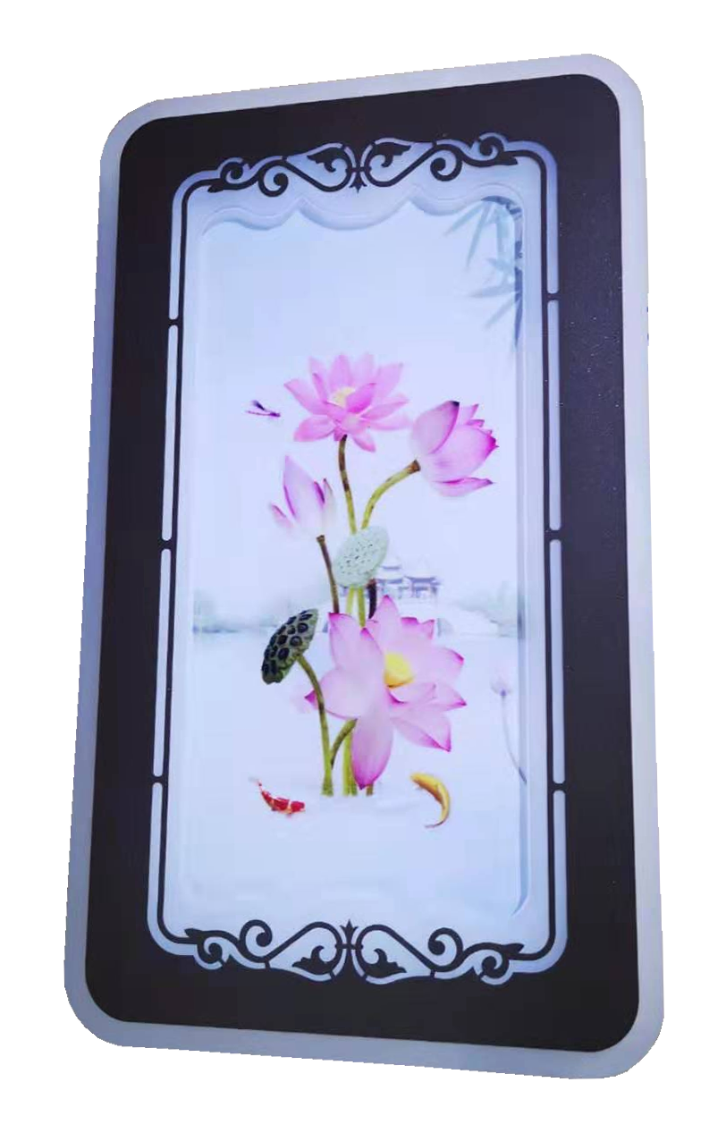 Hắt tranh aganit led B08M (24x40cm)