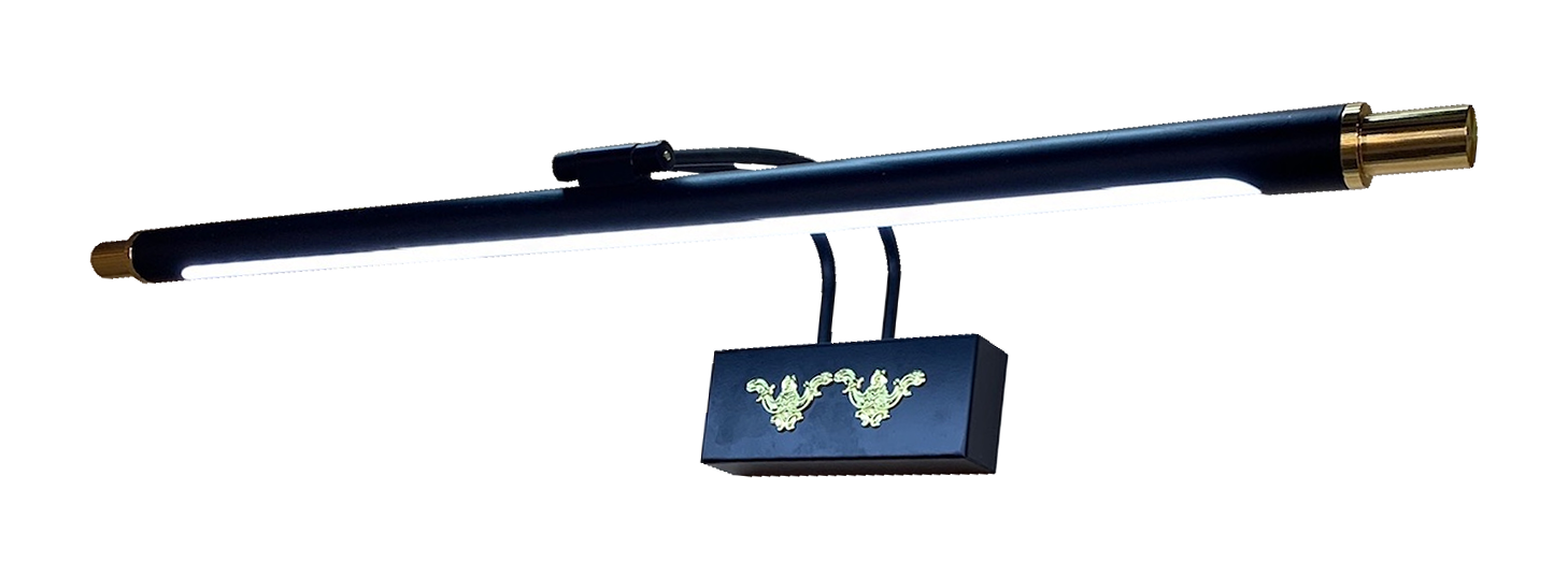 Đèn soi tranh tuýp led 5998/12w (50cm)